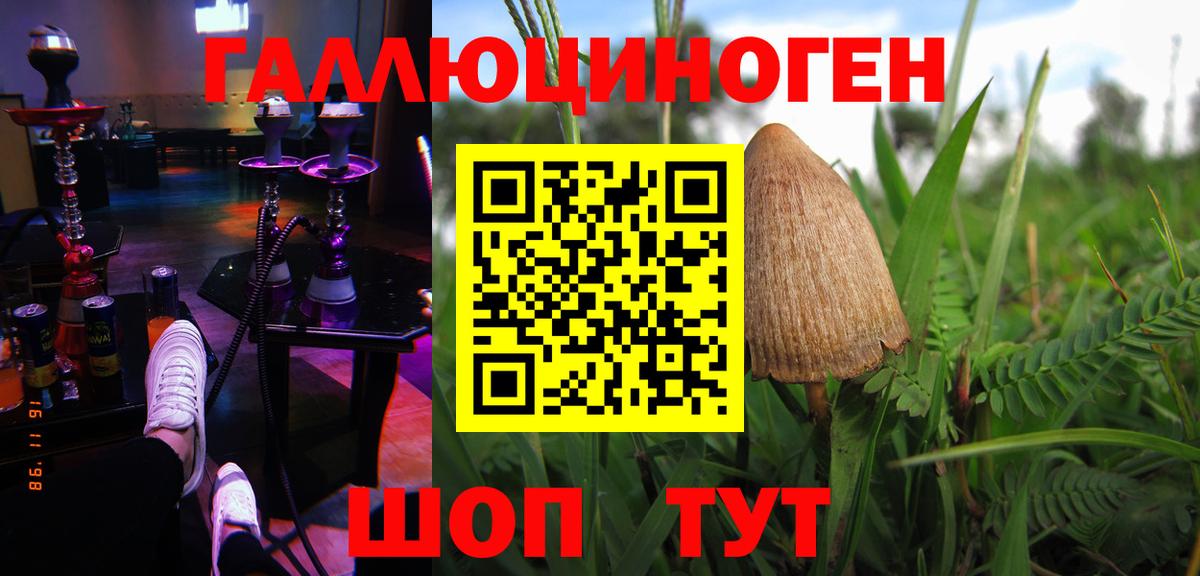 Псилоцибиновые грибы Psilocybine cubensis  наркошоп  Джанкой  Вход с VPN  Псилоцибиновые грибы GOLDEN TEACHER 